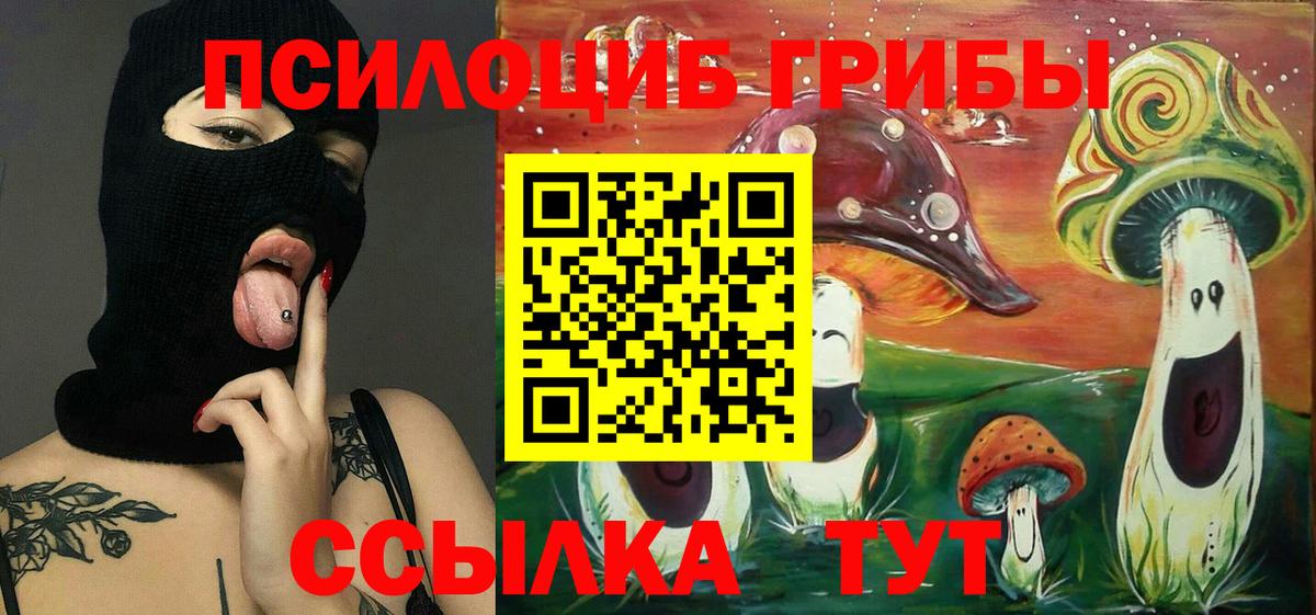 Псилоцибиновые грибы MAGIC MUSHROOMS Северск