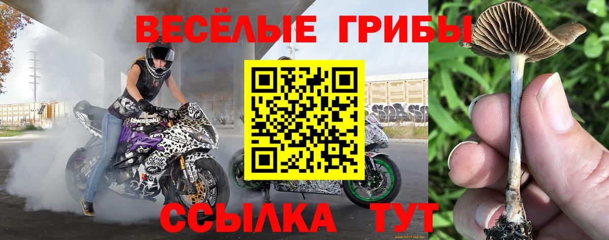 Псилоцибиновые грибы Cubensis  Галлюциногенные грибы Cubensis  магазин    Вход с VPN  Северск 